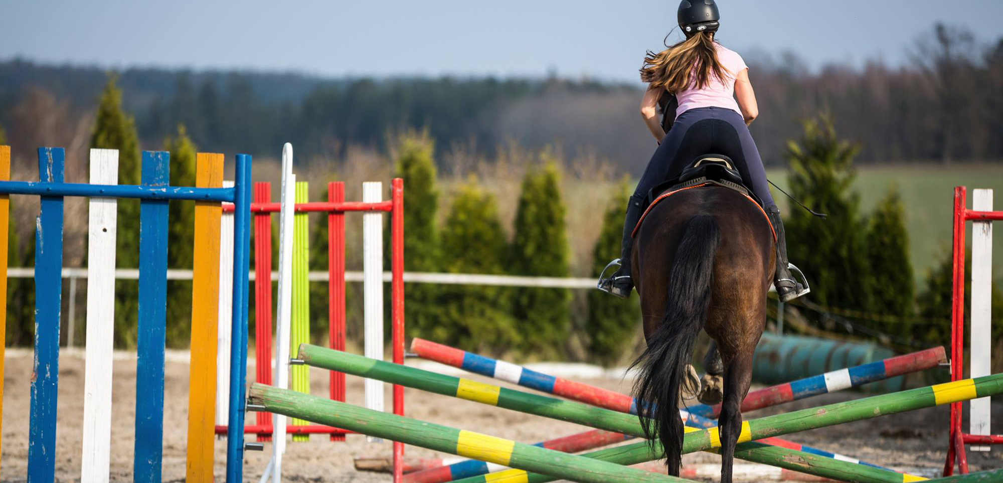 Kenzie Park horse training, rider training, agistment, riding lessons