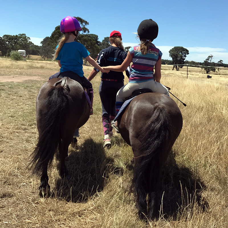 Horse Riding lessons for all ages in the Macedon Ranges