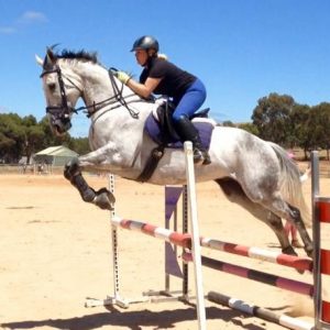 horse training and competing for dressage, show jumping and eventing